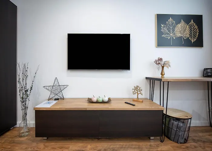 Max Apartment Brasov